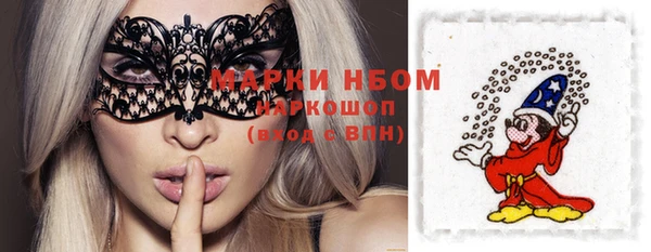 шишки Абинск