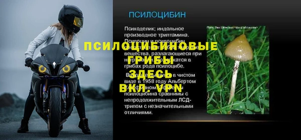 кристаллы Гусь-Хрустальный