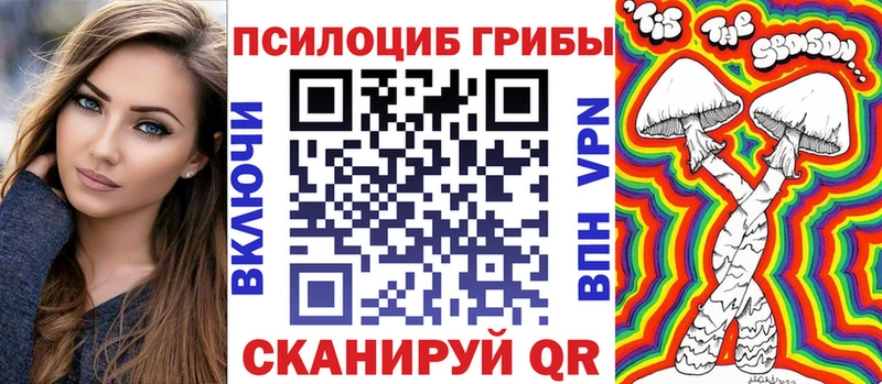 Галлюциногенные грибы Cubensis  кракен   Суздаль  где купить наркоту 